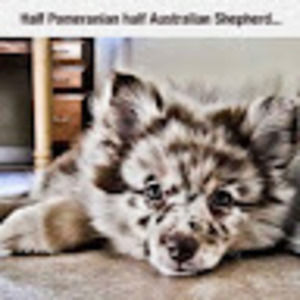 Meet your Posher, Brandie